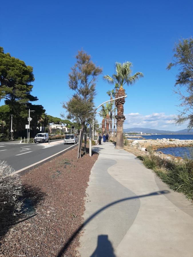 Les Iles D'Or Au Port De Hyeres Grand Studio Climatise Exterior photo
